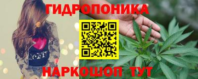 гашишное масло Гатчина