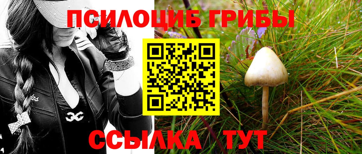 Псилоцибиновые грибы MAGIC MUSHROOMS  Муром  Псилоцибиновые грибы GOLDEN TEACHER 