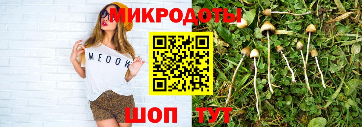 Псилоцибиновые грибы GOLDEN TEACHER  Вход с VPN  Муром 