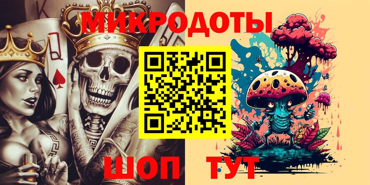 Псилоцибиновые грибы Psilocybe Муром