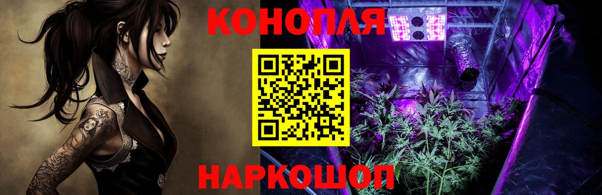 Каннабис сатива  Муром  Каннабис план  Конопля тримм 